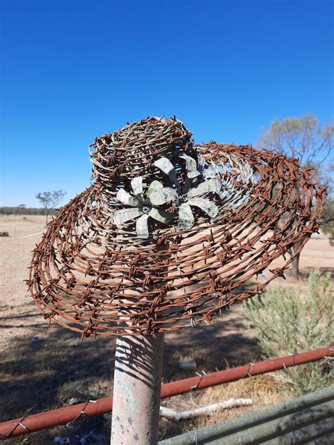 Barbed wire hat in 2020 | Barbed wire art, Wire art, Garden art