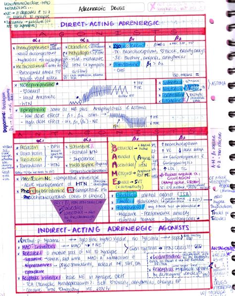 ALPHA & BETA AGONISTS & ANTAGONISTS Nursing Study, Nursing Tips, Ob Nursing, Nursing Degree ...