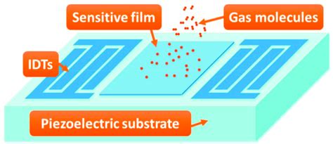 The schematic of the surface acoustic wave (SAW) gas sensor. | Download ...