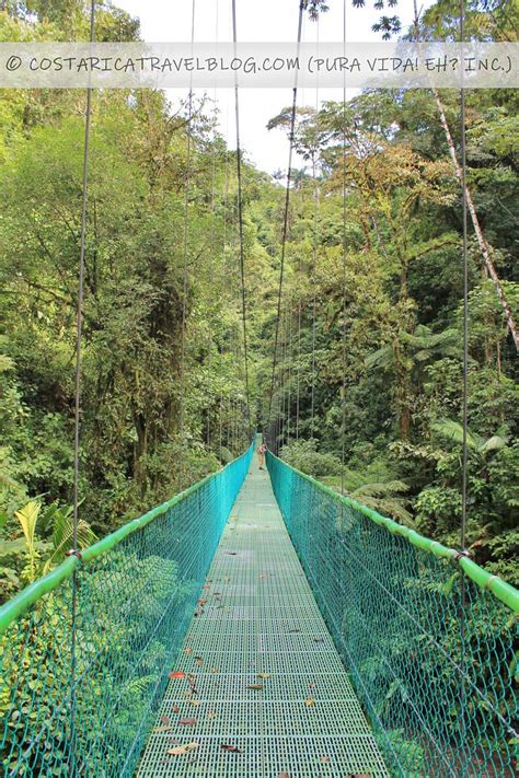 Best Hanging Bridges in Costa Rica: Comparing 4 in Arenal and Monteverde | The Official Costa ...