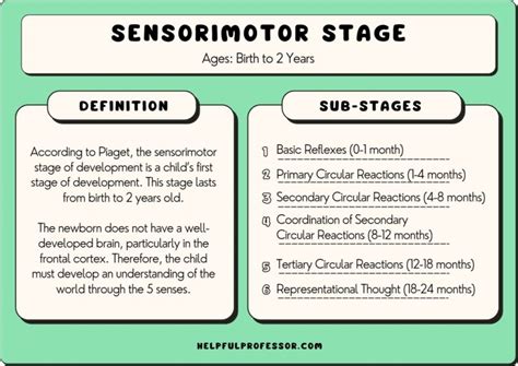 10 Sensorimotor Stage Examples (2024)