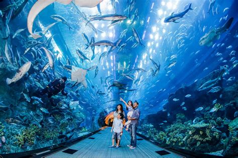 S.E.A Aquarium - AceVentures OMT