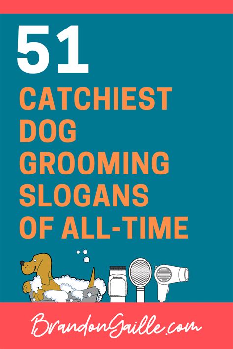 51 Catchy Dog Grooming Slogans and Good Taglines - BrandonGaille.com