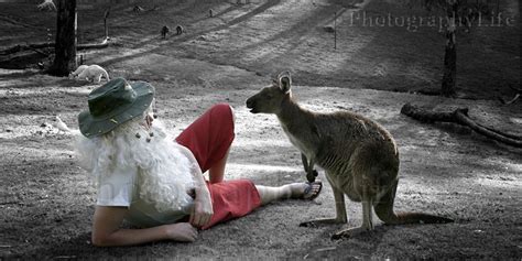 Christmas Kangaroo and Santa | Christmas | Pinterest | Kangaroos, Xmas and Santa