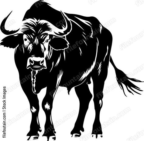 Water Buffalo Logo Vector Design - FileFountain