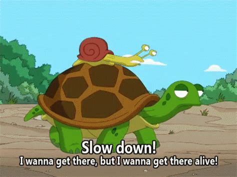 Slow GIF - Slow Down Disney Slow - Descubrir y compartir GIFs