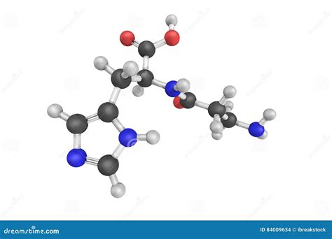 3d Structure of Carnosine, a Dipeptide Molecule Stock Illustration - Illustration of stress ...