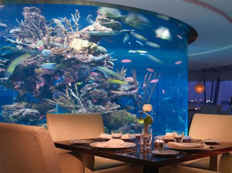 Restaurant Aquarium - aquarium fische arten