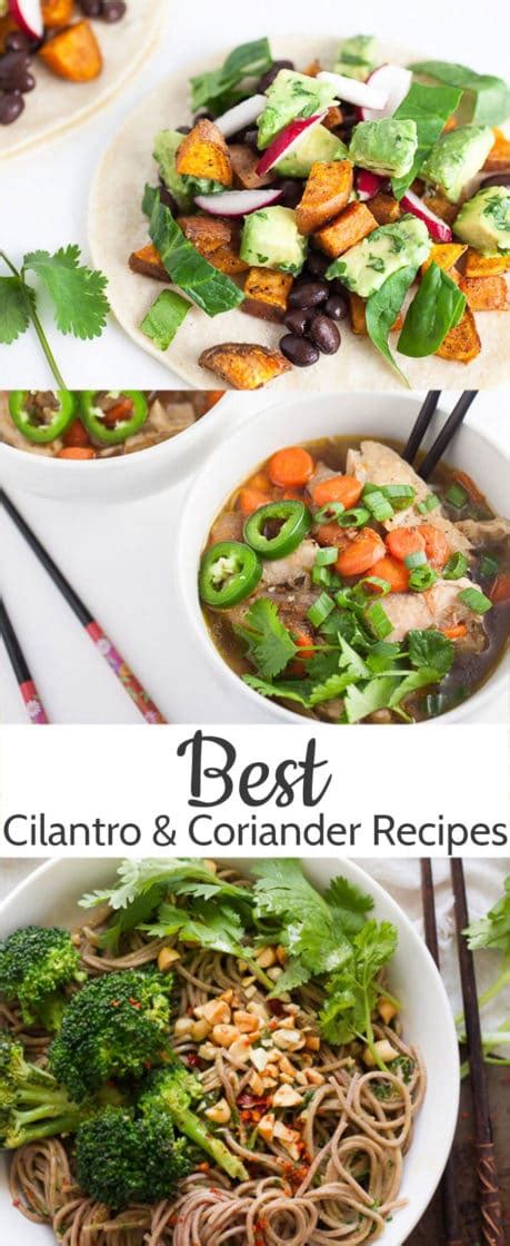 The Best Coriander {Cilantro} Recipes - Helen's Fuss Free Flavours