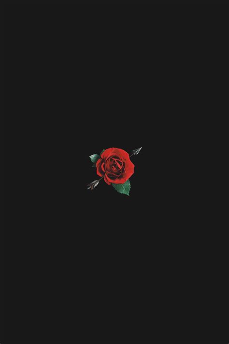 Wallpaper Roses Aesthetic