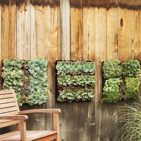 Outdoor Living Wall Planters