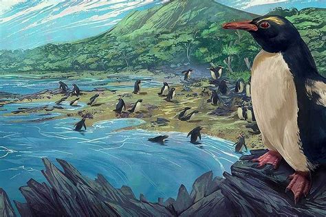 Newly-described fossils reveal an ancient origin for New Zealand penguins