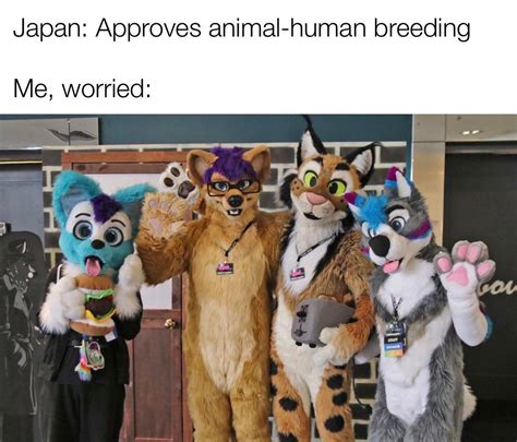 Real life furries? Oh no : r/memes