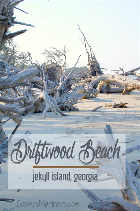 A Hauntingly Beautiful Spot at the Edge of the World: Driftwood Beach ...