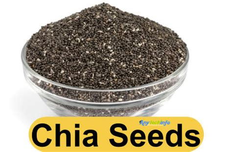 Chia Seeds in Telugu, CHIAచియా,DEFINITION,NOUN,Example