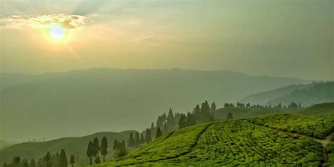 Kanyam Ilam, Kanyam Ilam Nepal, Kanyam Tea Garden