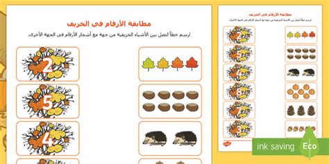 أوراق عمل الأرقام لرياض الأطفال- الأعداد- أوراق نشاط.