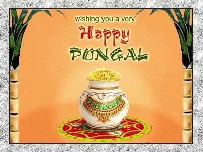 Happy Pongal Wishing You A Very GIF - Happy Pongal Wishing You A Very - Discover & Share GIFs