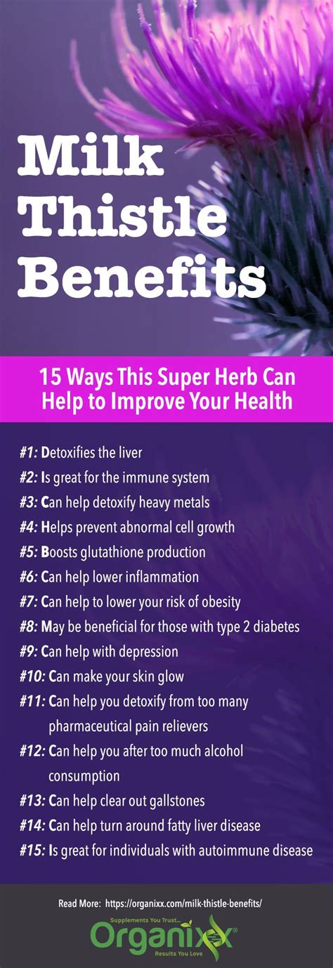 Milk Thistle Benefits: 15 Ways This Super Herb Can Improve Your Health | Milk thistle benefits ...