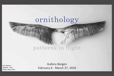 Ornithology: Patterns in Flight | Bergen Community College