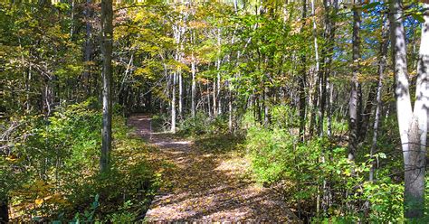 Upland Trail at Devil's Lake State Park