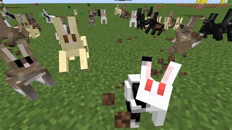 BUNNIES and RABBITS - Recent Updates and Snapshots - Minecraft: Java ...