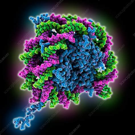 Nucleosome core particle complex - Stock Image - C035/5269 - Science Photo Library