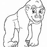 Baby Gorilla Coloring Pages sketch template