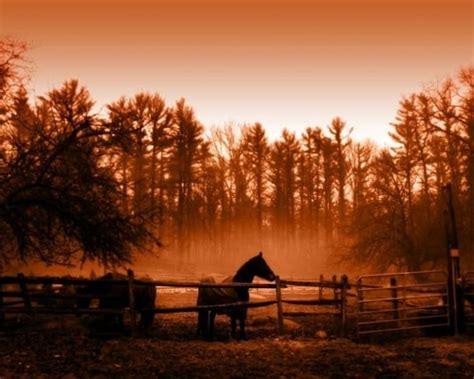 🔥 [40+] Fall Barn Desktop Wallpapers | WallpaperSafari