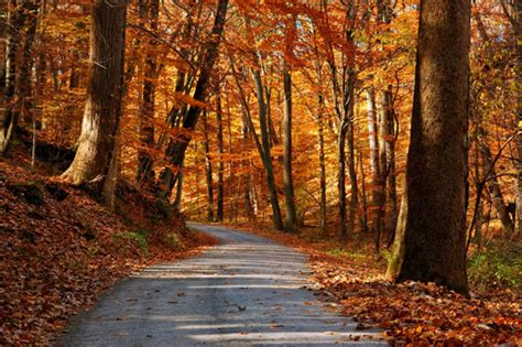 Where to See Fall Foliage in Bucks County Pennsylvania