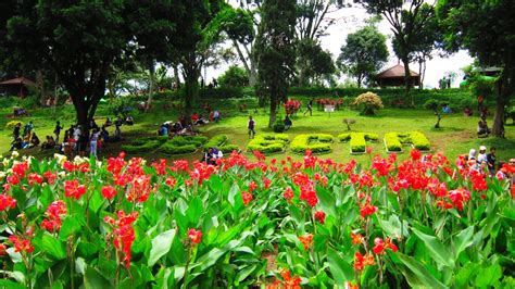 Taman Bunga Cantik di Indonesia | Pagguci