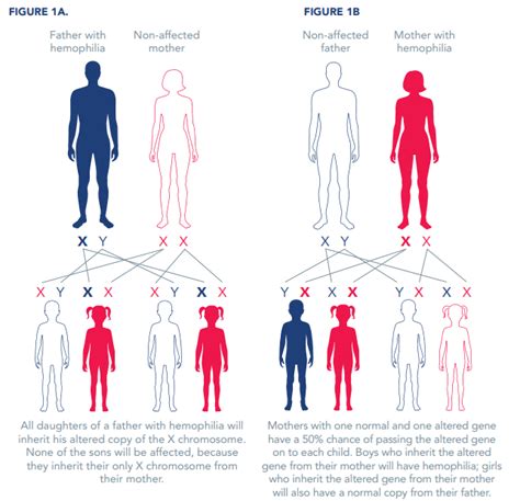 Hemophilia - eLearning Platform