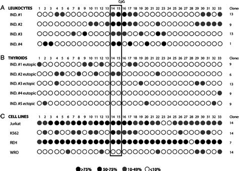 DNA methylation status of CpG island 1 ( Ϫ 1600 to Ϫ 1140 from the TSS)... | Download Scientific ...