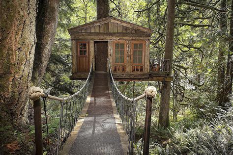 18 Treehouse Interiors You'll Love