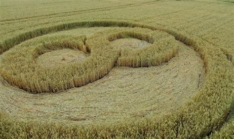 crop circle collaboration at Peacedale Preserve - Natural Lands