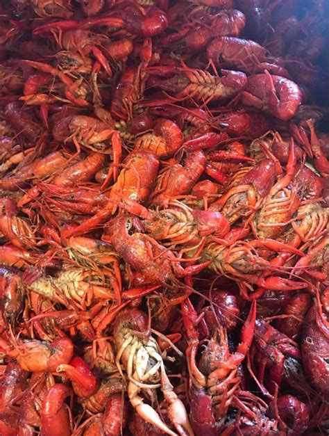 A seafood merchant has never seen crawfish so scarce on the MS Coast ...