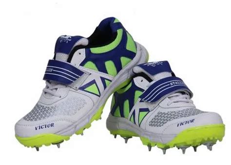 Cricket Spikes Shoes, Size: 5-11 at Rs 1199/pair in Jalandhar | ID ...