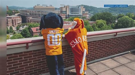 UT Libraries looks back at the Smokey mascot | wbir.com