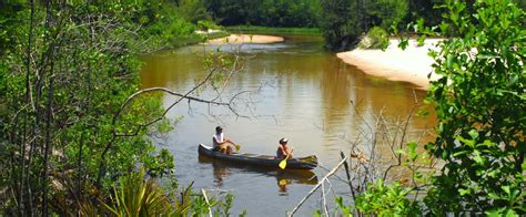 The Blackwater River | Florida State Parks