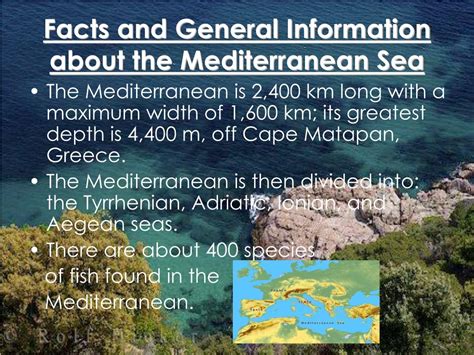 PPT - The Mediterranean Sea PowerPoint Presentation, free download - ID:5033861