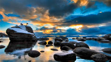 Bonsai Rock – Bing Wallpaper Download