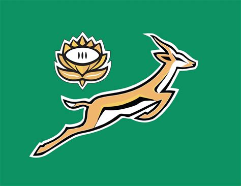 bridgetahlong: south african springbok sports logo