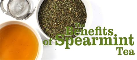 Spearmint Tea Benefits | Tea-and-Coffee.com