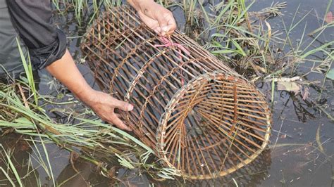 We Survival - Amazing DIY Fish Trap From Bamboo - YouTube