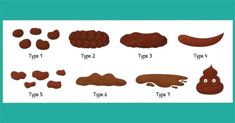 Identifying Types Of Poop With The Bristol Stool Chart And, 56% OFF