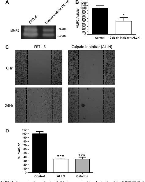 Figure 1 from Significance of the transient receptor potential ...