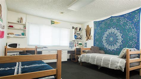 Wiley Hall | Dorm rooms, College dorm rooms, Modern room