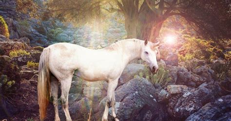 What Is a Unicorn Horn? - The Alicorn Magic Explained