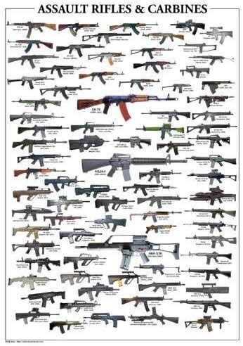 Assault Rifles Poster Guide #01 24x36in : Amazon.ca: Sports & Outdoors