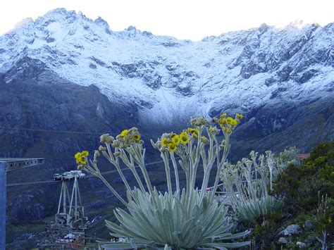 Pico Bolivar Nevado by gruyita on DeviantArt